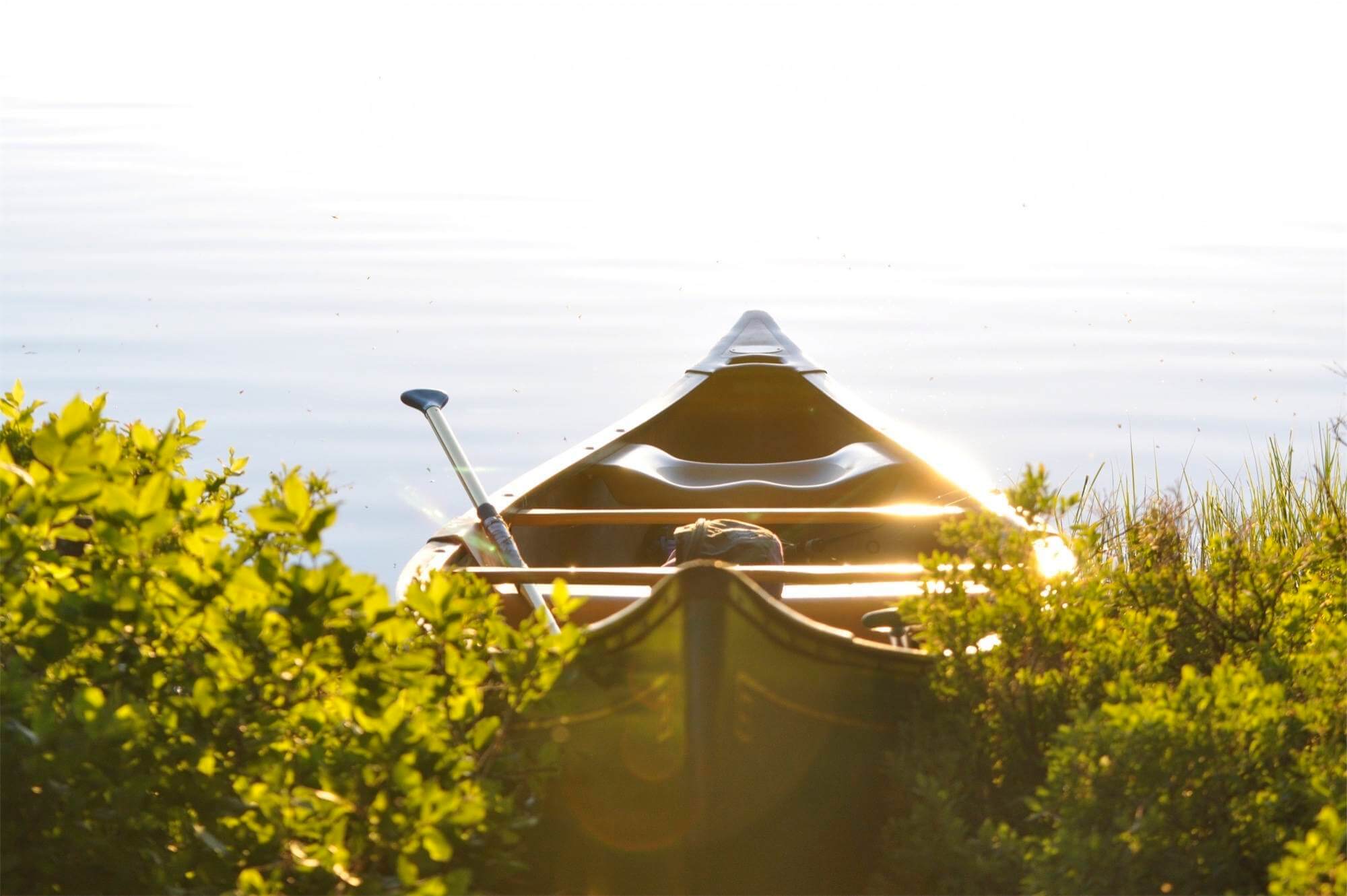 Canoeing Basics